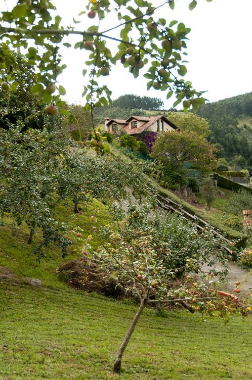 Trisqueles Y Buganvillas Villaviciosa  Exterior foto